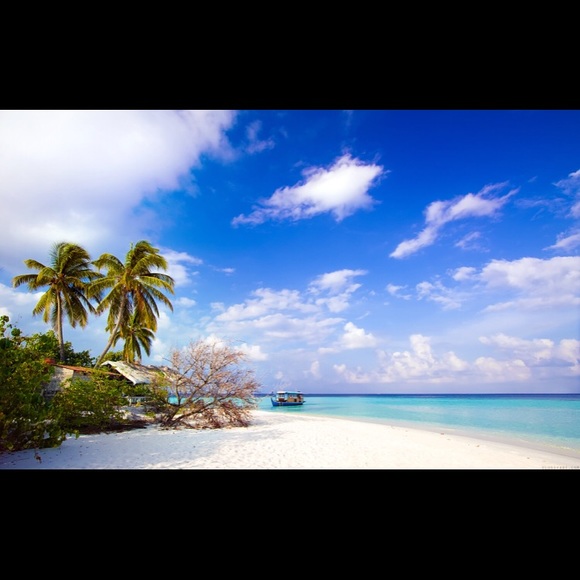 Meet your Posher, Nena - Picture 1 of 1